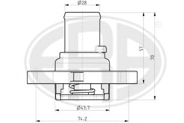 termostat,lichid racire