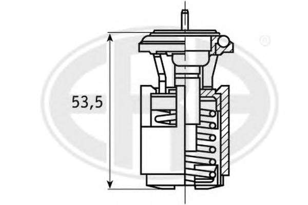 termostat,lichid racire