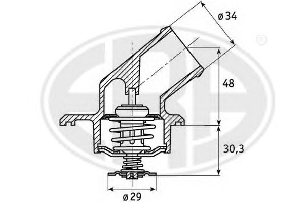 termostat,lichid racire