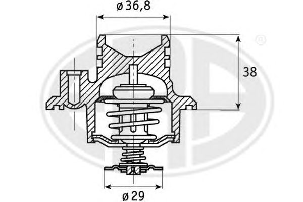 termostat,lichid racire