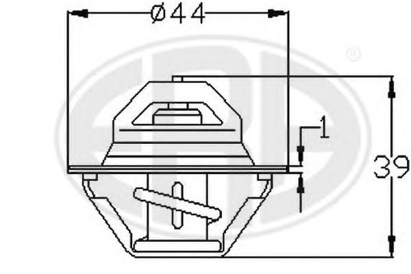 termostat,lichid racire