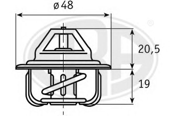 termostat,lichid racire