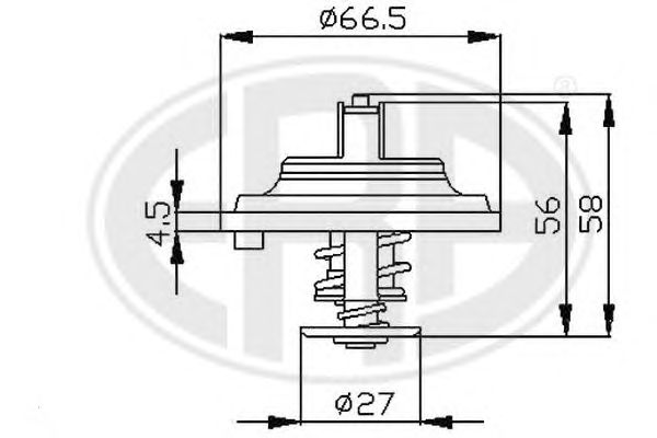 termostat,lichid racire