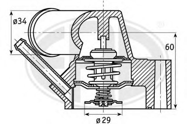 termostat,lichid racire