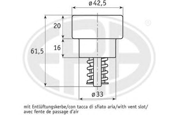 termostat,lichid racire