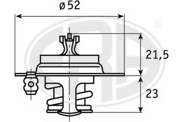 termostat,lichid racire