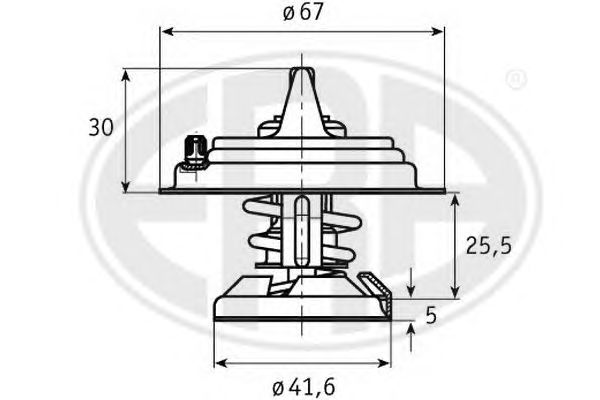 termostat,lichid racire