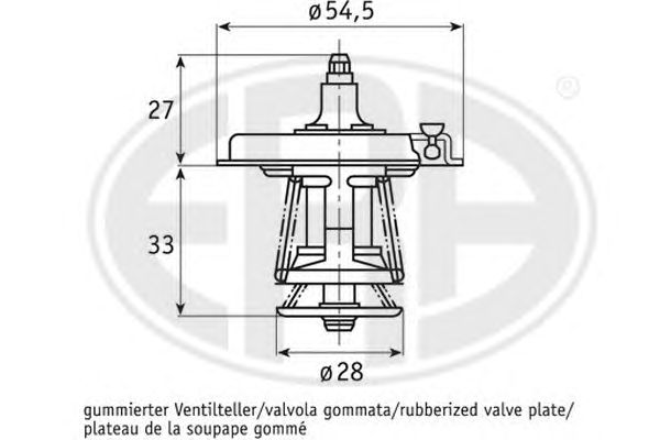 termostat,lichid racire