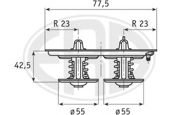 termostat,lichid racire