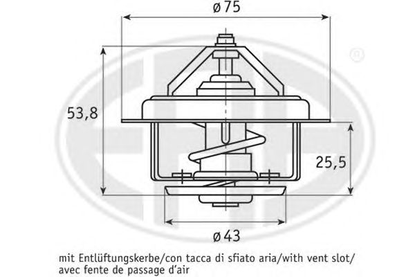 termostat,lichid racire