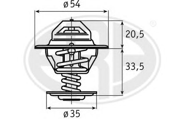 termostat,lichid racire