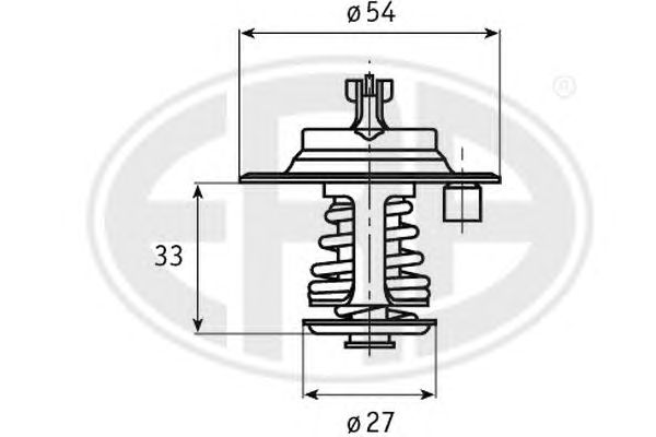 termostat,lichid racire