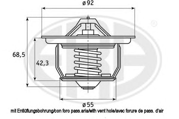 termostat,lichid racire