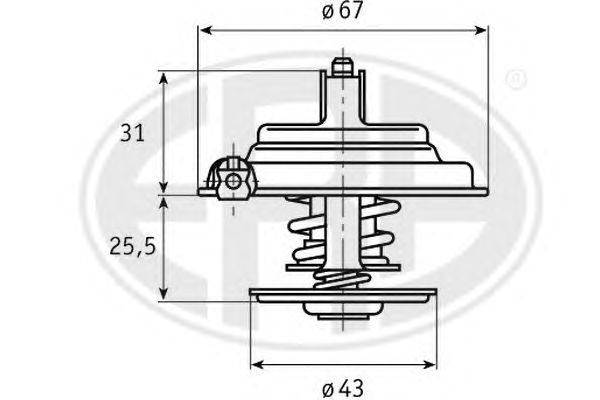 termostat,lichid racire