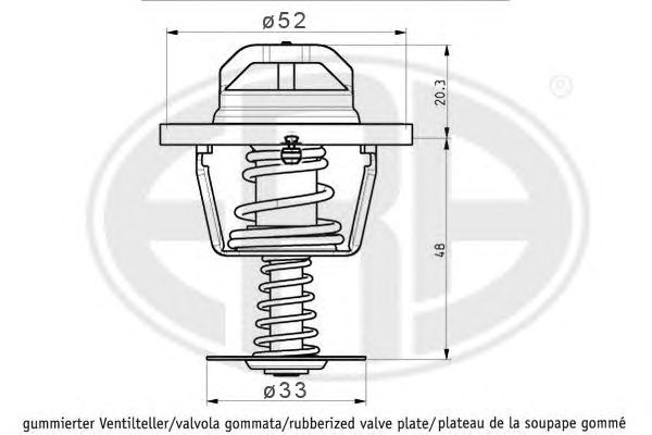 termostat,lichid racire