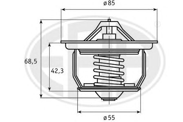 termostat,lichid racire