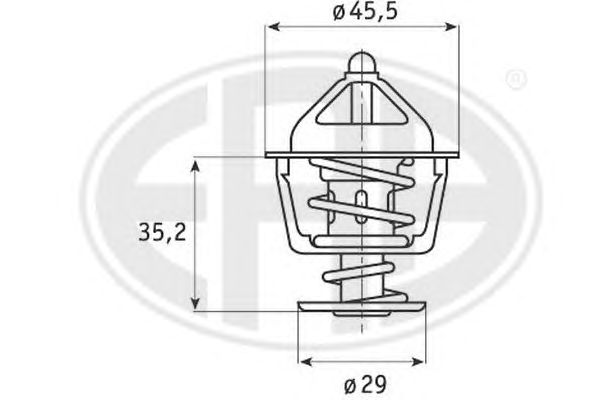 termostat,lichid racire