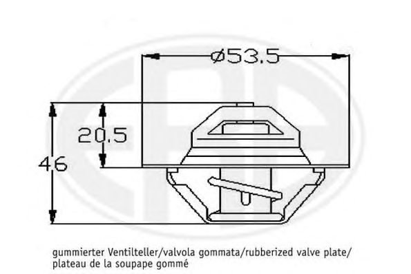 termostat,lichid racire