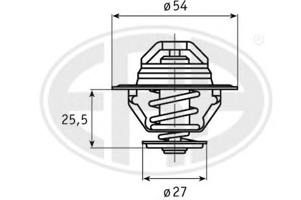 termostat,lichid racire