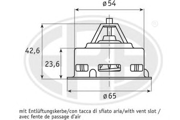 termostat,lichid racire