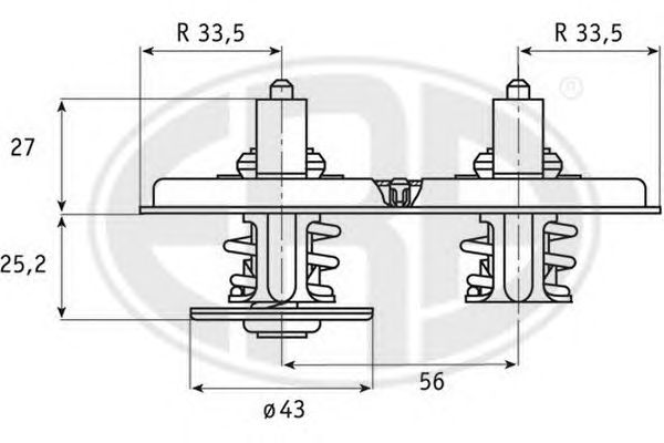 termostat,lichid racire