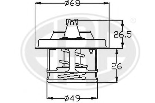 termostat,lichid racire