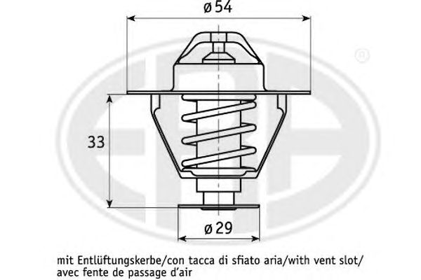 termostat,lichid racire