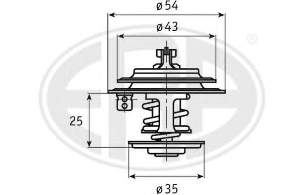 termostat,lichid racire