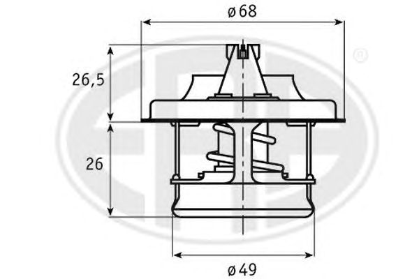 termostat,lichid racire