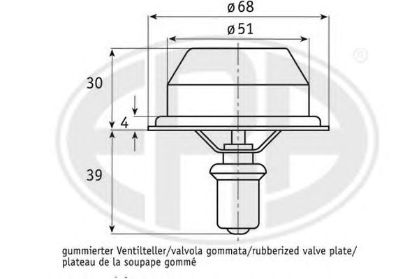 termostat,lichid racire