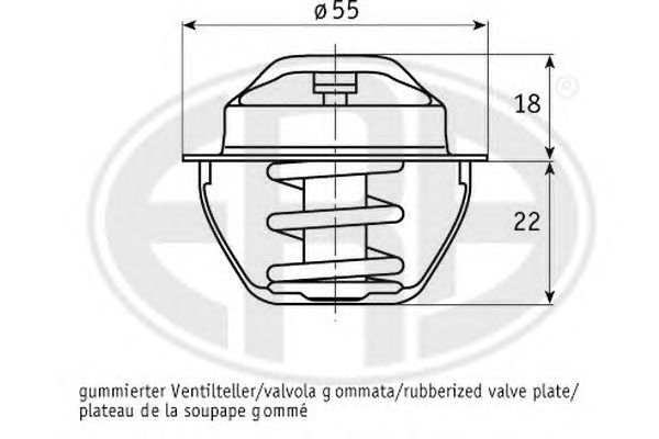 termostat,lichid racire