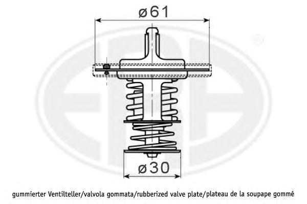 termostat,lichid racire