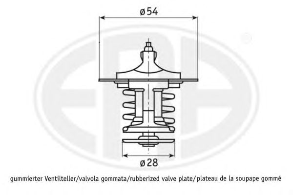 termostat,lichid racire