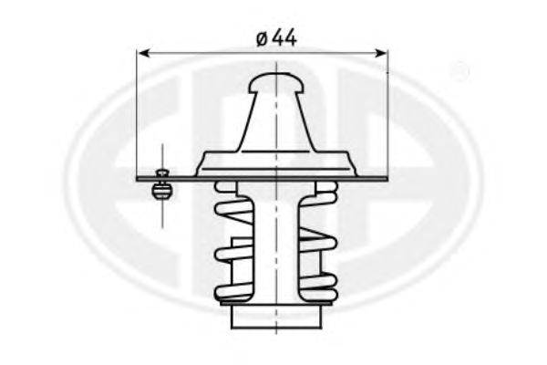 termostat,lichid racire