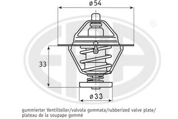 termostat,lichid racire