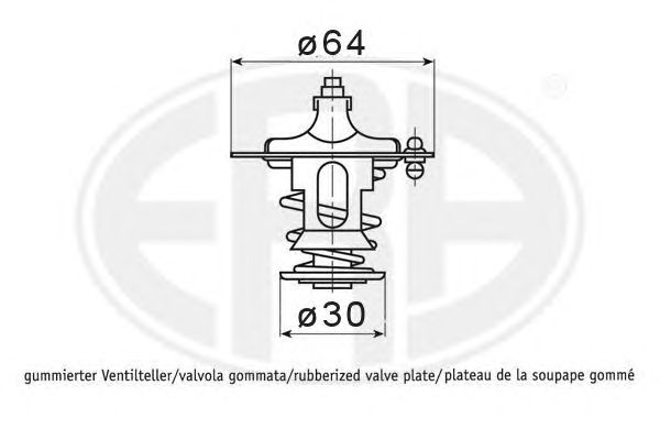 termostat,lichid racire