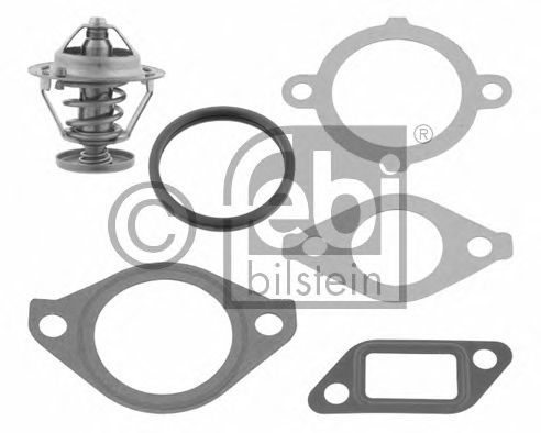 termostat,lichid racire