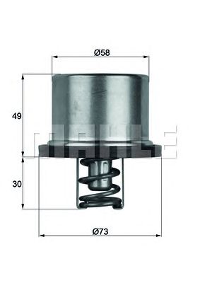 termostat,lichid racire