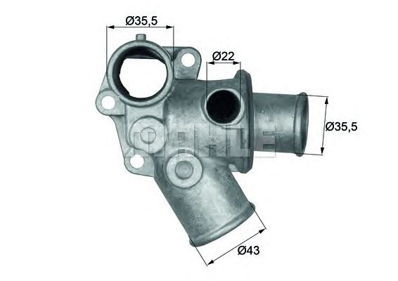 termostat,lichid racire