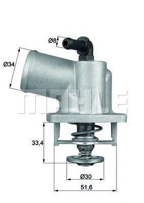 termostat,lichid racire