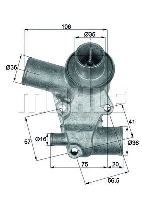 termostat,lichid racire