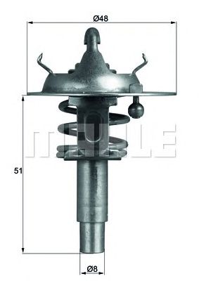 termostat,lichid racire