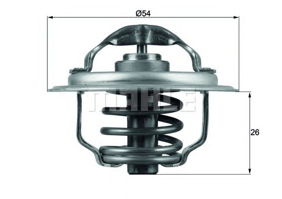 termostat,lichid racire