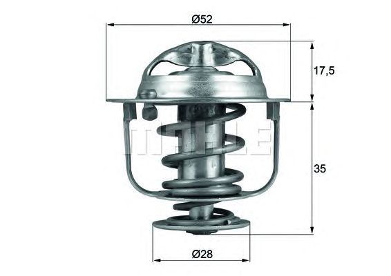 termostat,lichid racire