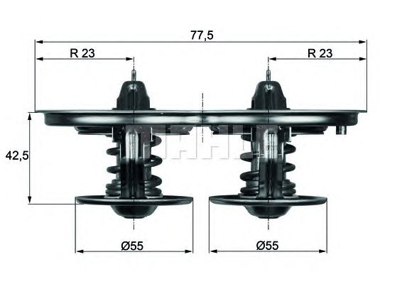 termostat,lichid racire