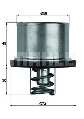 termostat,lichid racire