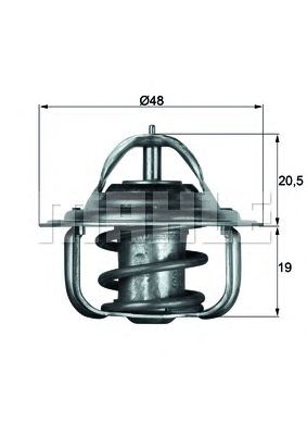 termostat,lichid racire