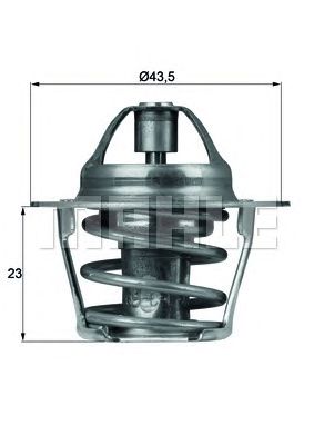 termostat,lichid racire