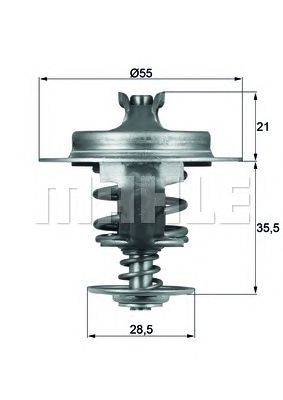 termostat,lichid racire