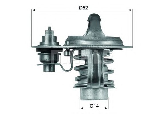 termostat,lichid racire